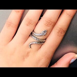 Snake Serpent Silver Ring